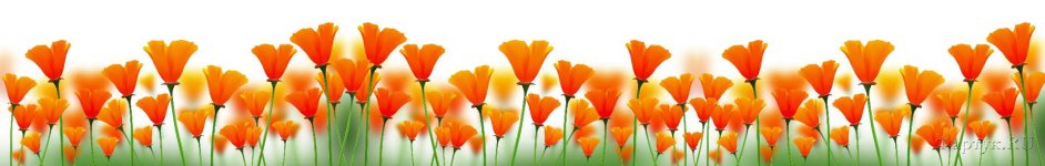 Скинали — Оранжевые цветы на траве