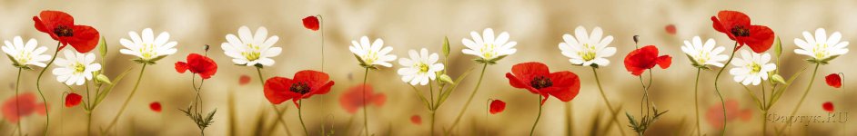 Скинали — Белые и красные цветы