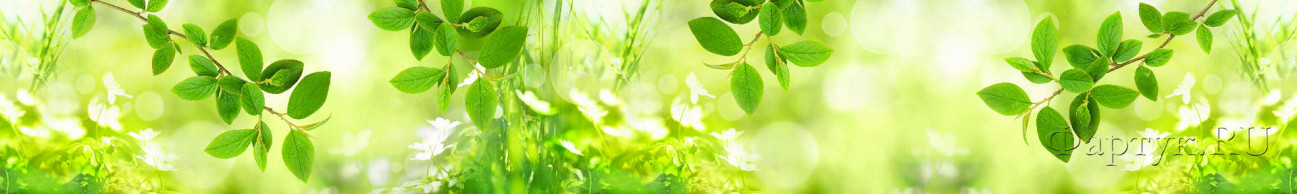Скинали — Зеленые растения под летним солнцем 