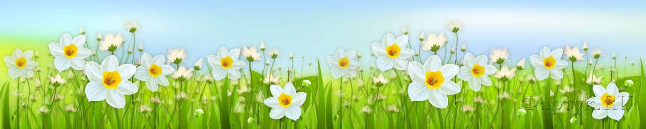 Скинали — Луговые белые цветочки 
