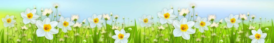 Скинали — Луговые белые цветочки 