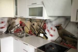 Фартук для кухни фото: птицы , заказ #КРУТ-2087, Белая кухня.