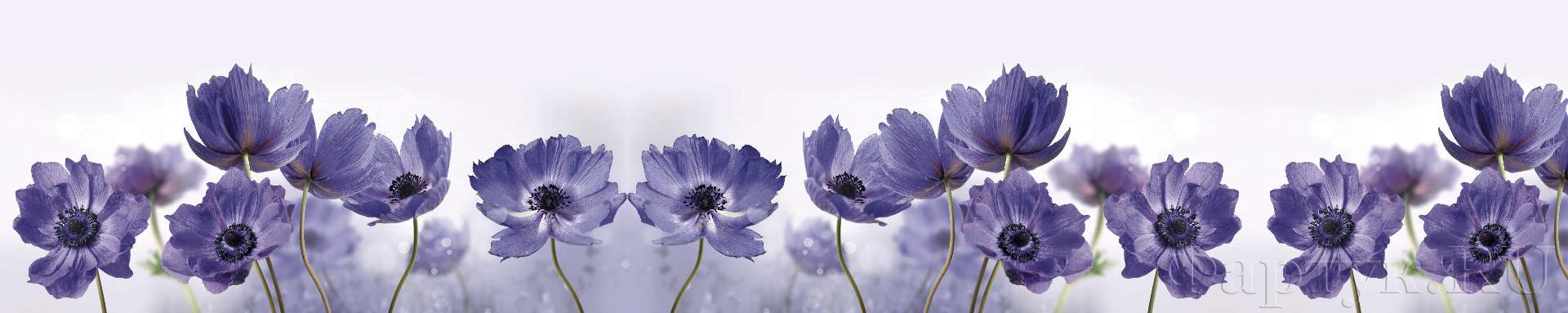 Крупные фиолетовые цветы