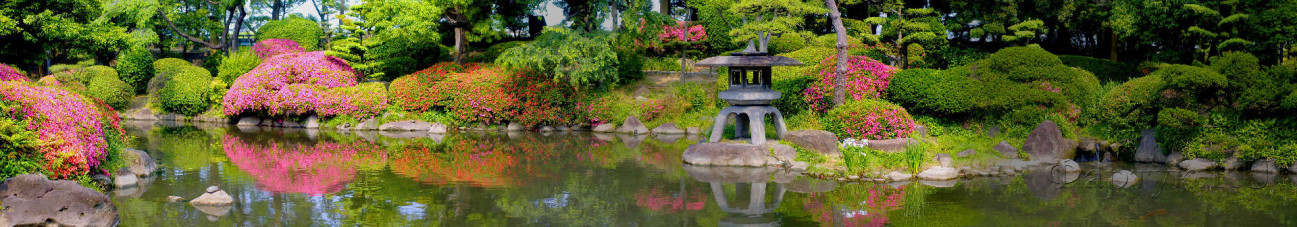 Скинали — Панорама японского сада