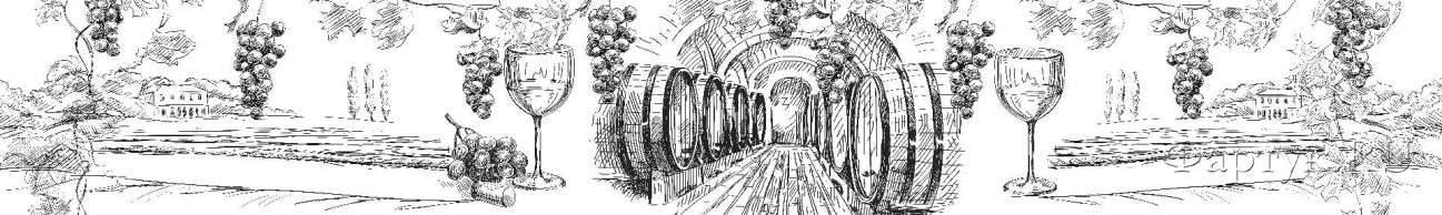 Скинали — Рисунок виноградники и вино