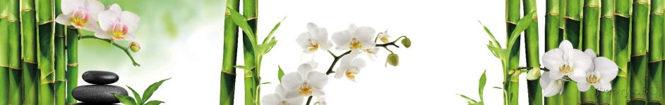 Скинали — Бамбук и орхидеи