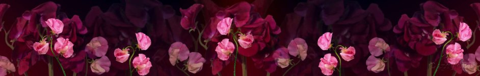 Скинали — Распустившийся бутон розы