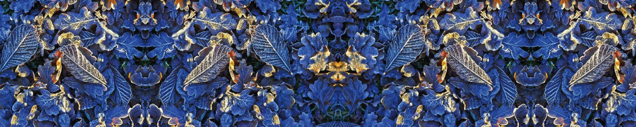 Скинали — текстура синих листьев