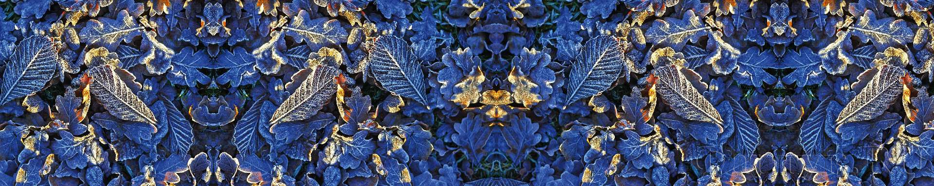 текстура синих листьев
