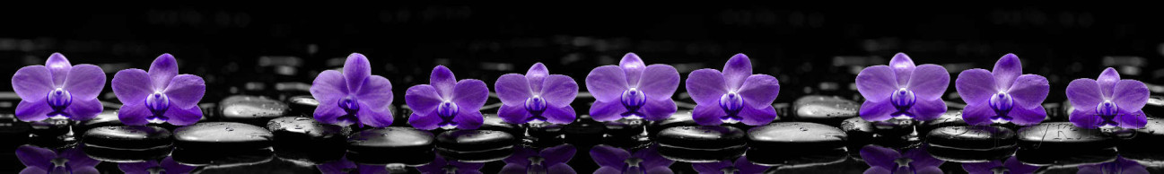 Скинали — Сиреневые орхидеи на камнях