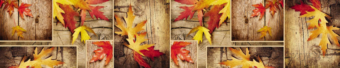 Скинали — Осенние листья на деревянных досках