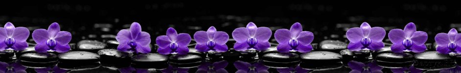 Скинали — Сиреневые орхидеи на камнях