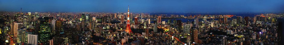 Скинали — Пасмурный вечер в Токио