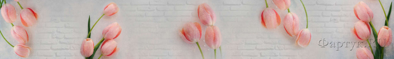 Скинали — Нежные тюльпаны на фоне белой кирпичной кладки