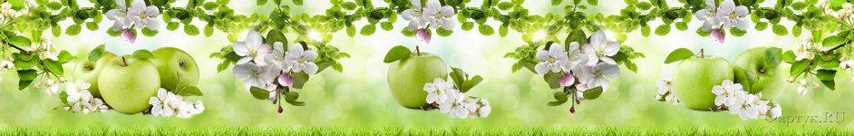Скинали — Зеленые яблоки и цветы яблони