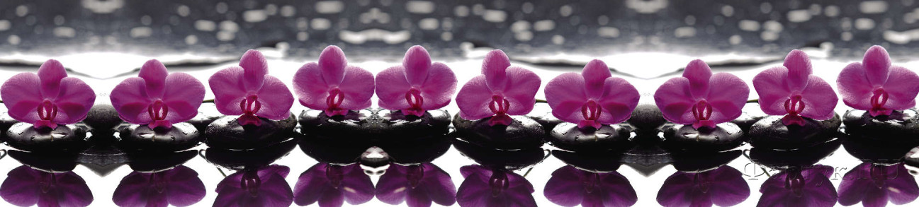 Скинали — Фиолетовые орхидеи на камнях