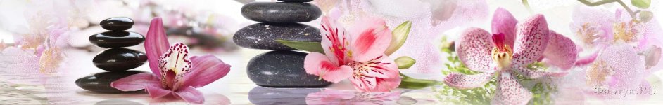 Скинали — Розовые цветы на камнях