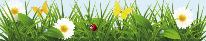 Скинали — Ромашки в траве с бабочками