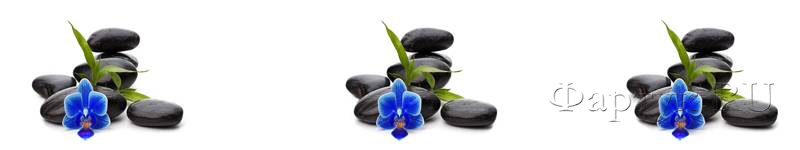Скинали — Синие орхидеи, камни на белом фоне