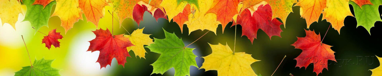 Скинали — Падающие осенние листья