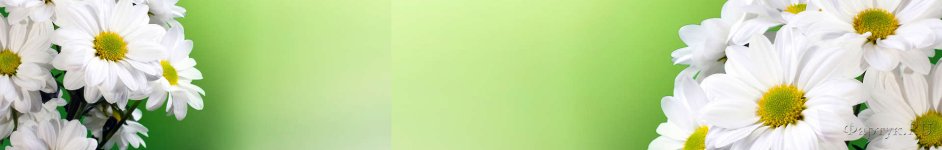 Скинали — Ромашки на зеленом фоне