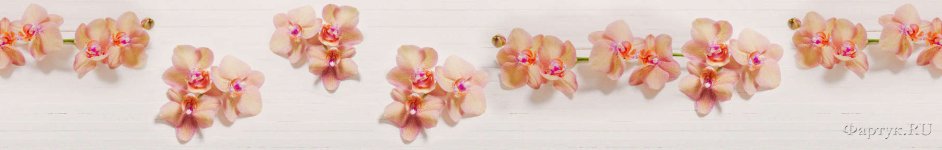 Скинали — Нежнейшие орхидеи 
