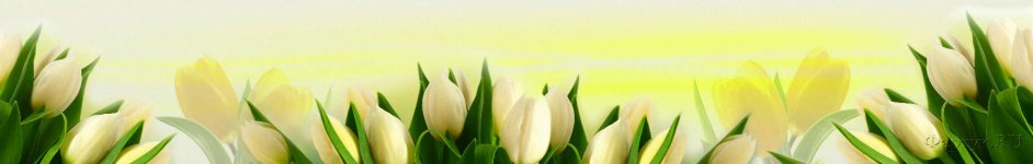 Скинали — Букетики нежных тюльпанов 