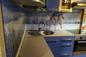 Стеклянная фото панель: бегущие по снегу лошади, заказ #ИНУТ-7863, Синяя кухня.