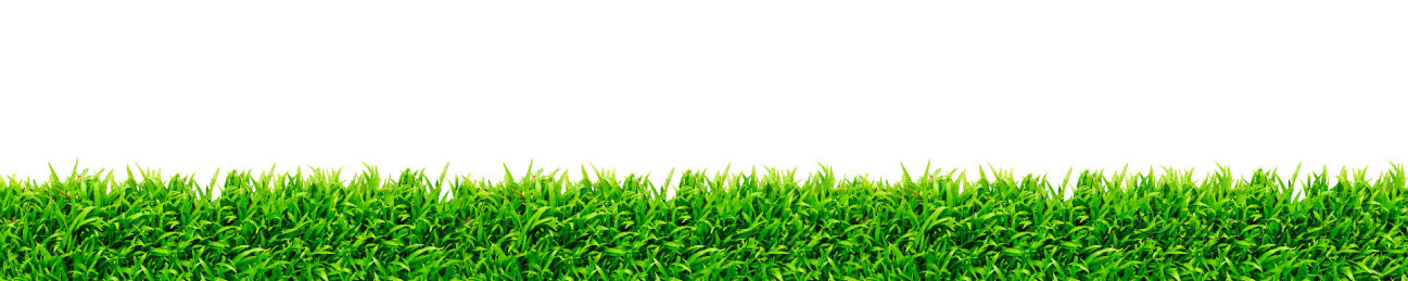 Скинали — Пушистая зеленая трава 