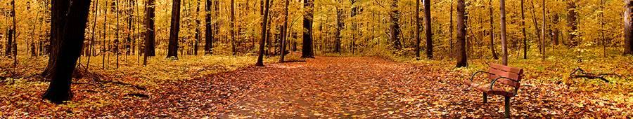 Скинали — Осенний пейзаж