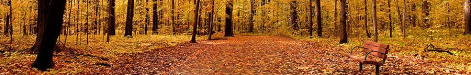 Скинали — Осенний пейзаж