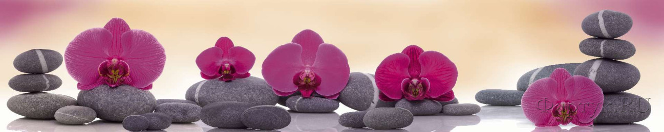Скинали — Фиолетовые орхидеи с серыми камнями