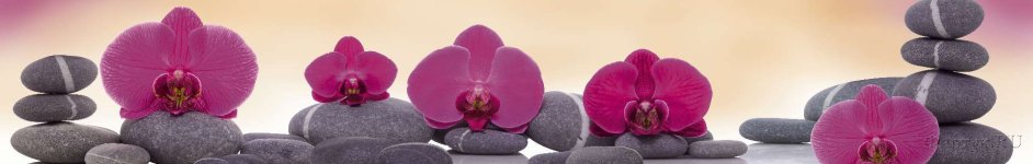 Скинали — Фиолетовые орхидеи с серыми камнями