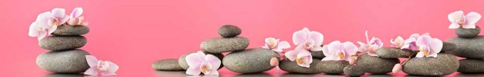 Скинали — Орхидеи на камнях с розовым фоном