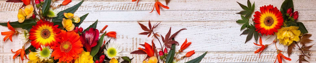 Скинали — Яркие цветы на фоне деревянных досок 