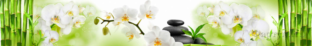 Скинали — Белые орхидеи, камни спа и зеленый тростник 