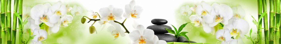 Скинали — Белые орхидеи, камни спа и зеленый тростник 