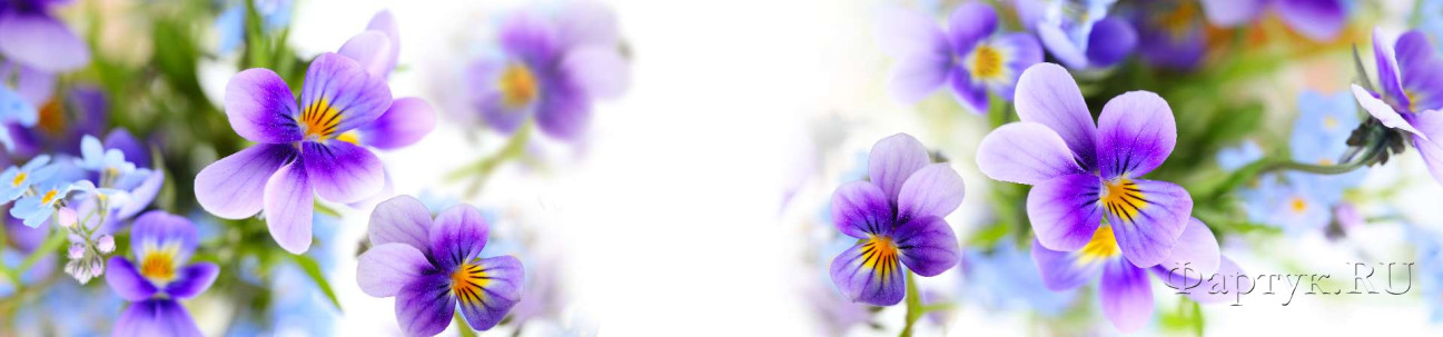 Скинали — Нежнейшие цветы крупным планом 