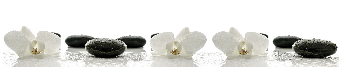 Скинали — Белые орхидеи с черными камнями