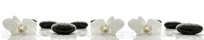 Скинали — Белые орхидеи с черными камнями
