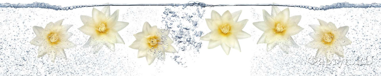 Скинали — Белые цветочки в воде 