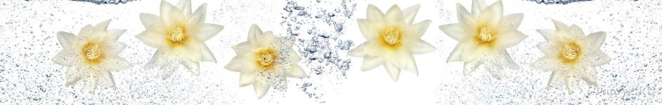 Скинали — Белые цветочки в воде 