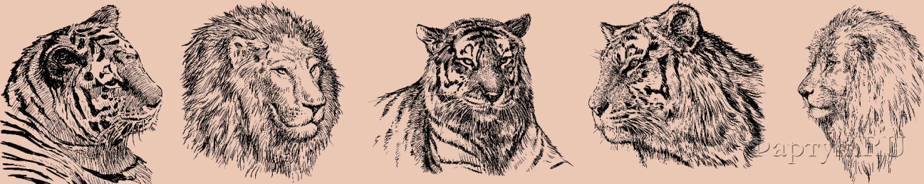 Скинали — Львы и тигры