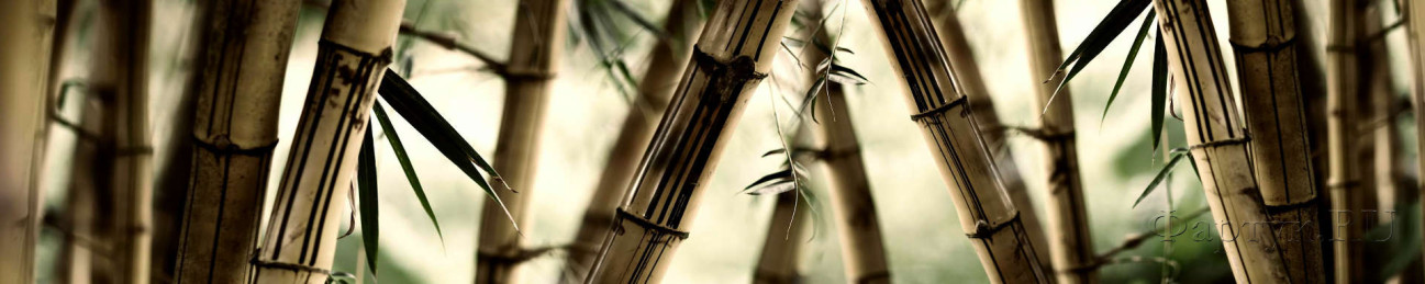 Скинали — Стволы тросника