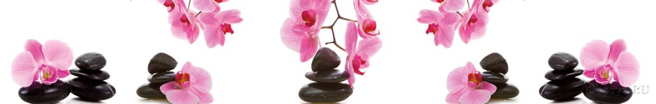 Скинали — Ветки орхидеи свисающие над камнями спа