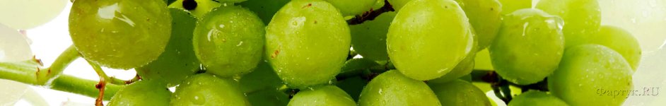 Скинали — Веточка зеленого винограда 