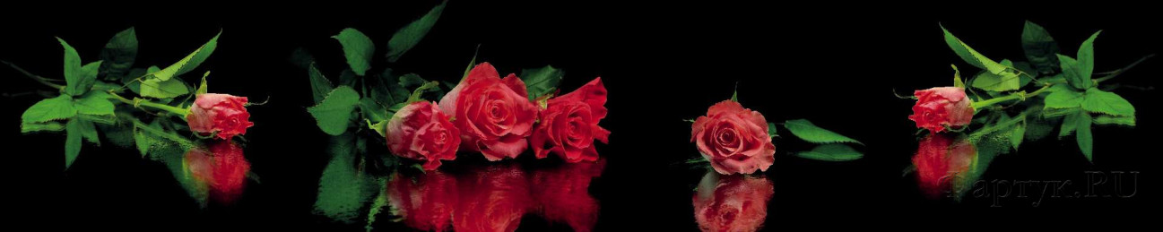 Скинали — Розы на черном фоне
