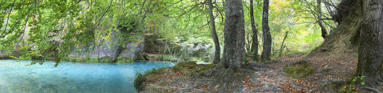 Скинали — Осенний лес на севере Испании
