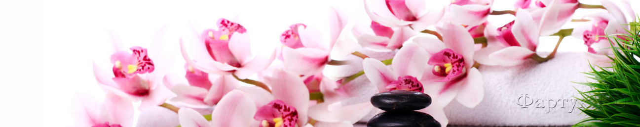 Скинали — Розовые орхидеи с камнями на белом фоне