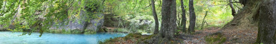 Скинали — Осенний лес на севере Испании